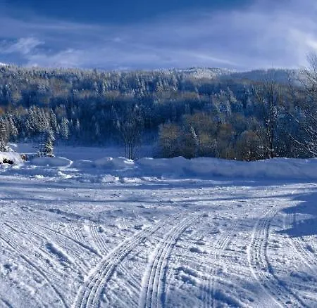 Beskid Apartament Rzyki