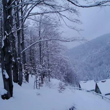 Beskid Apartment